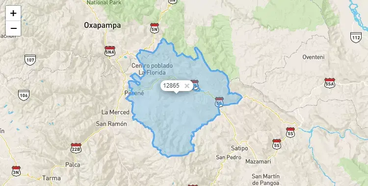 Mapa de la zona del código postal 12865 en Pichanaqui, Junín